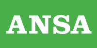 il commercialista online su ANSA.it