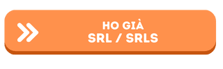 consulenza fiscale per SRL già attiva