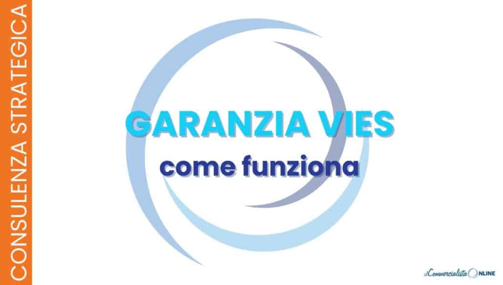 garanzia VIES