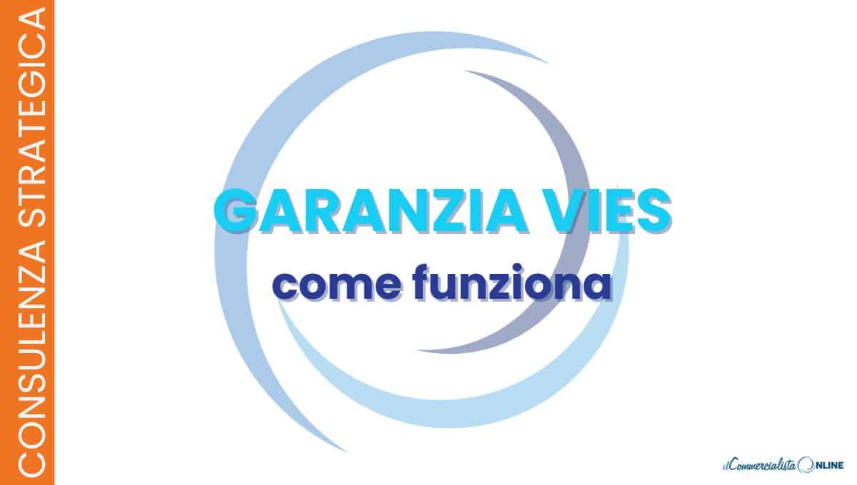 garanzia VIES