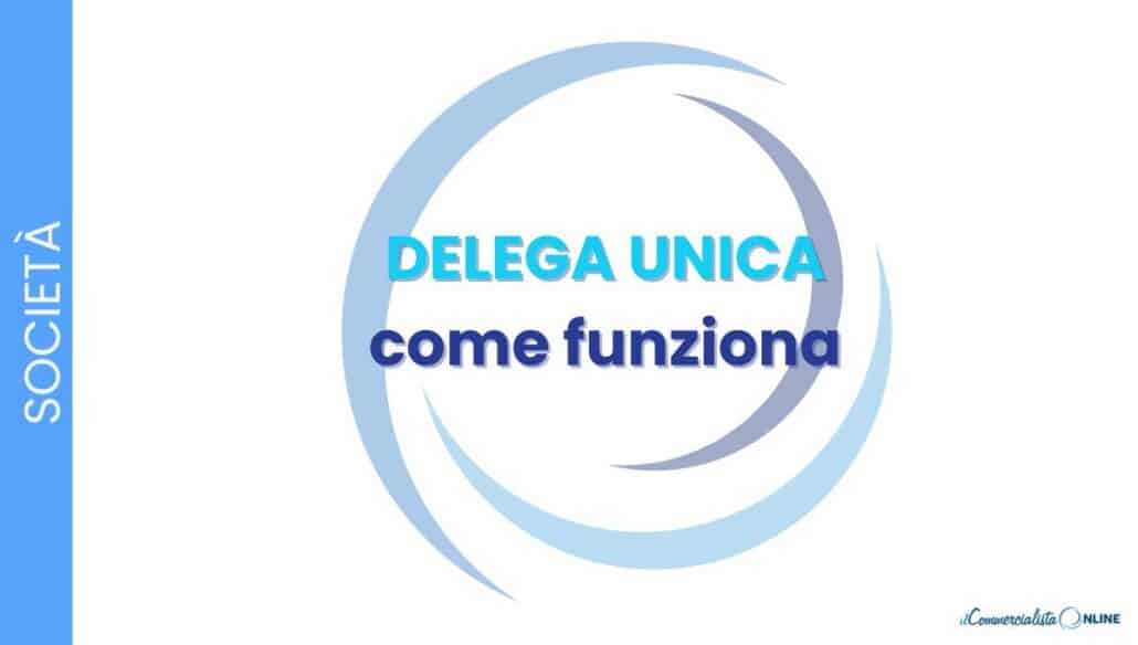 delega unica: che coa è e come funziona